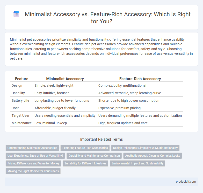 Minimalist Accessory vs. Feature-Rich Accessory: Which Is Right for You?