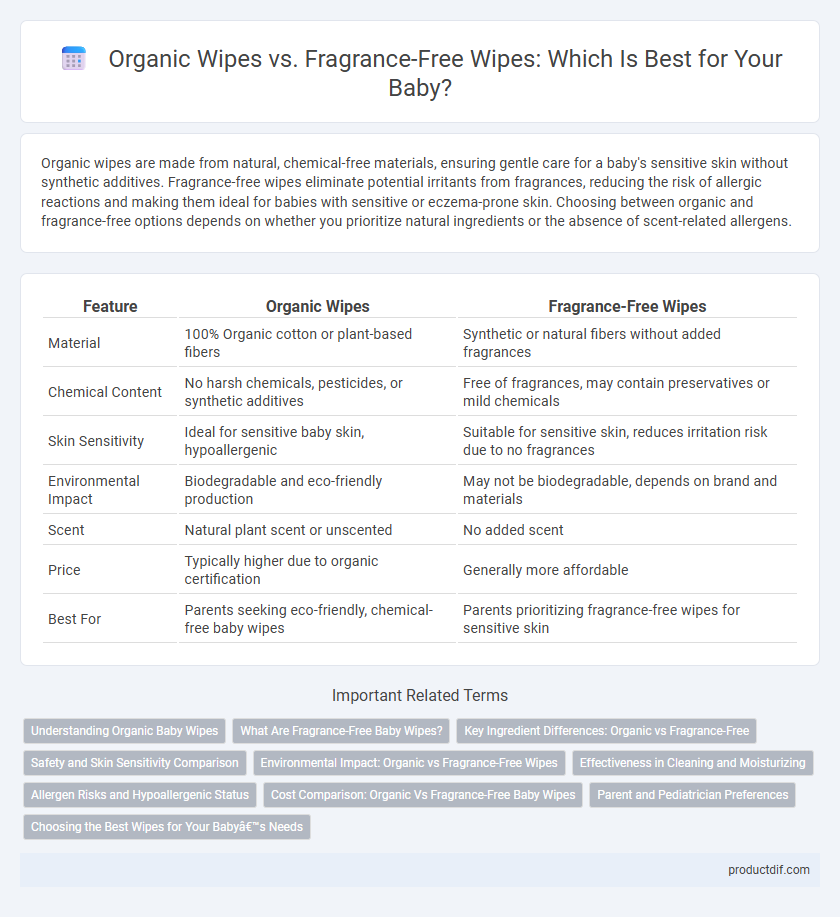 Organic Wipes vs. Fragrance-Free Wipes: Which Is Best for Your Baby?