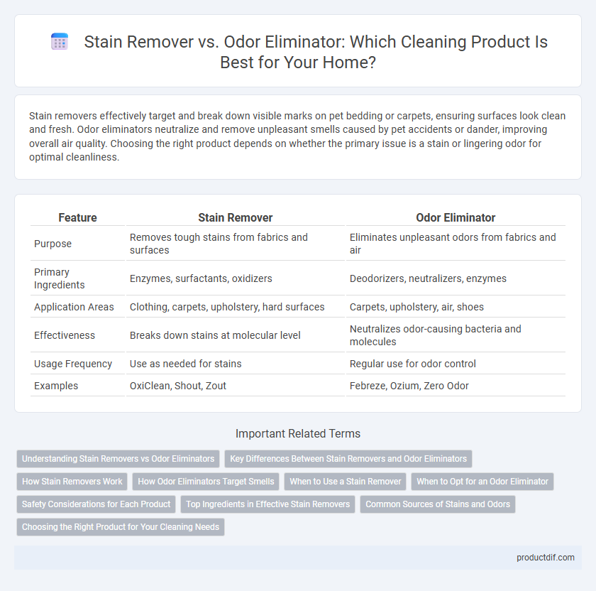 Stain Remover vs. Odor Eliminator: Which Cleaning Product Is Best for Your Home?