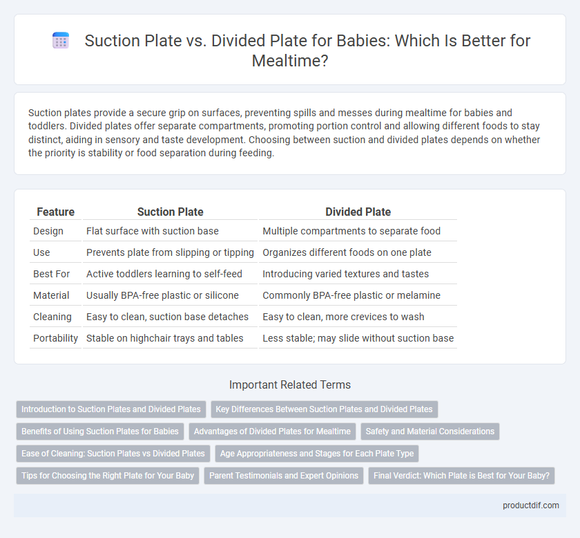 Suction Plate vs. Divided Plate for Babies: Which Is Better for Mealtime?