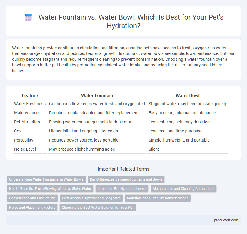 Water Fountain vs. Water Bowl: Which Is Best for Your Pet's Hydration?